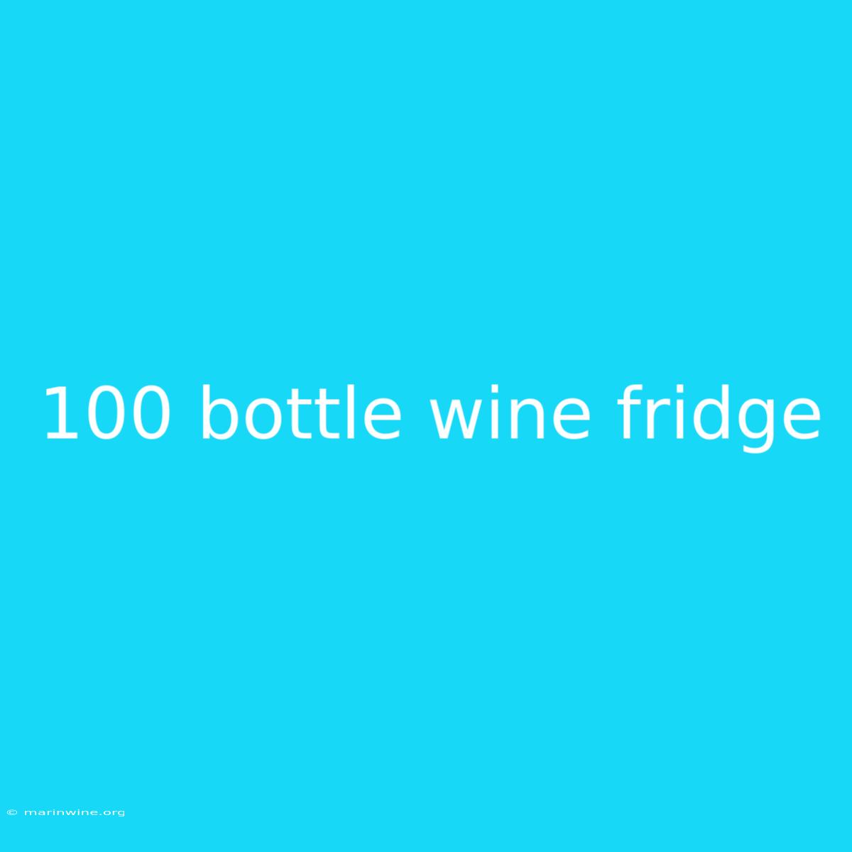 100 Bottle Wine Fridge