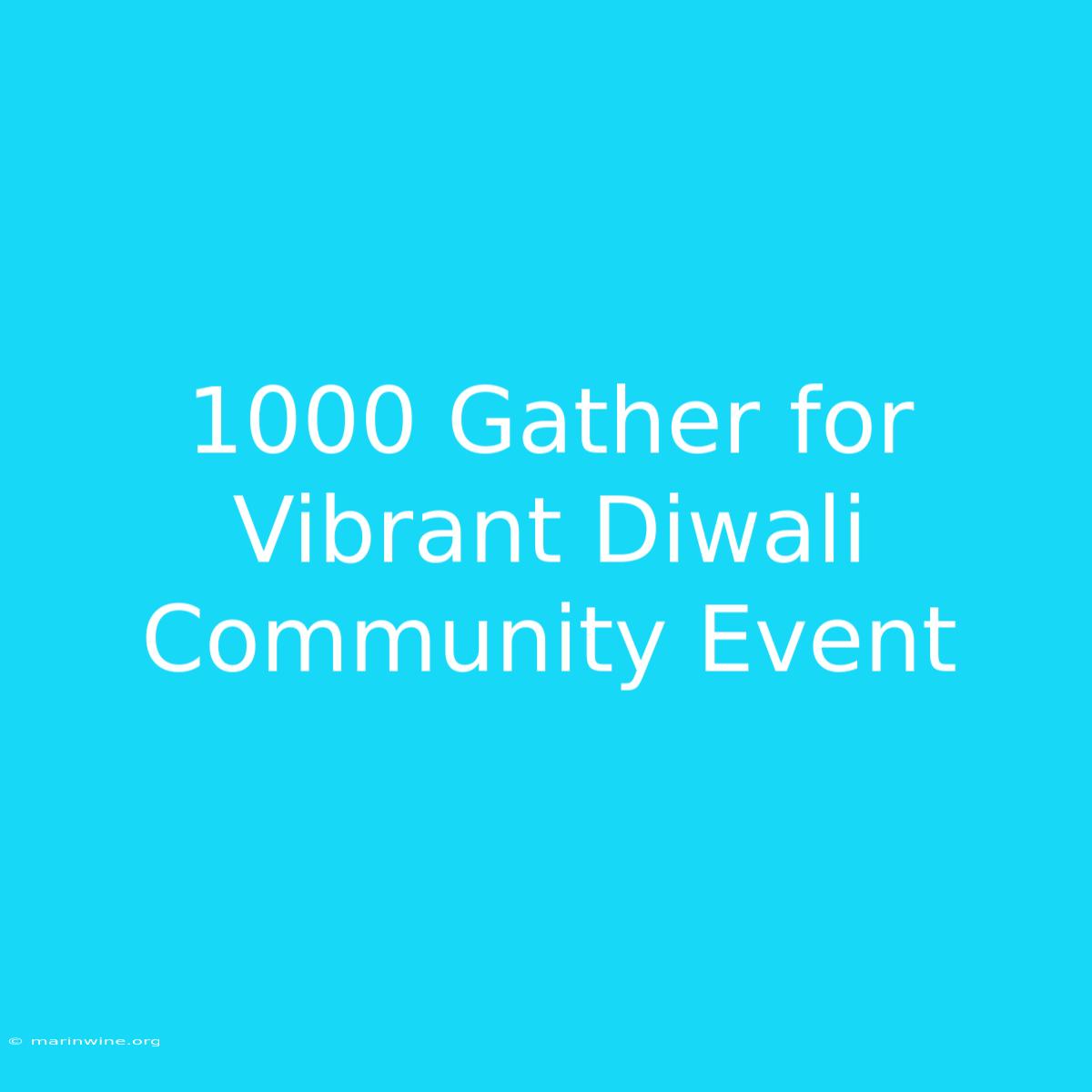 1000 Gather For Vibrant Diwali Community Event