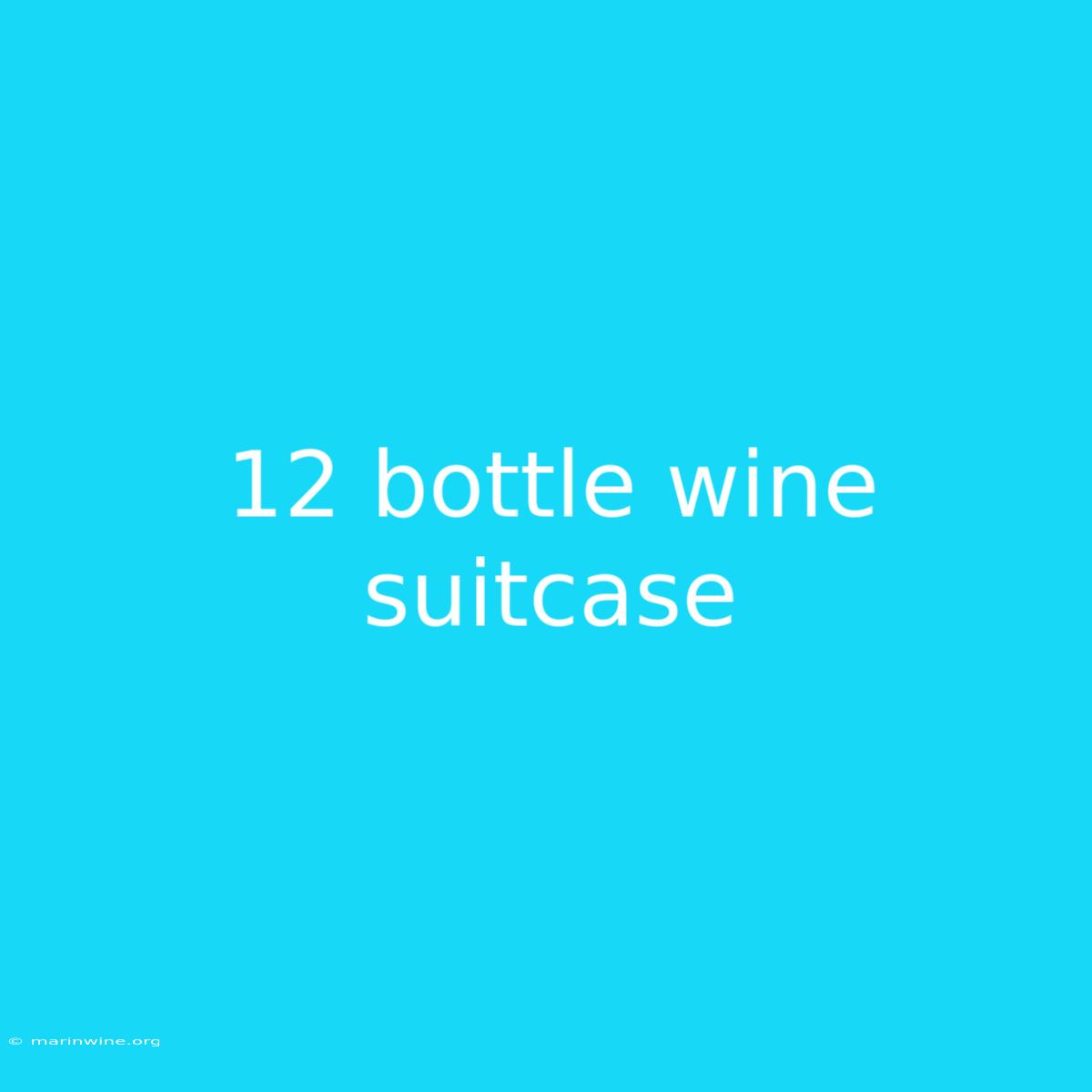 12 Bottle Wine Suitcase