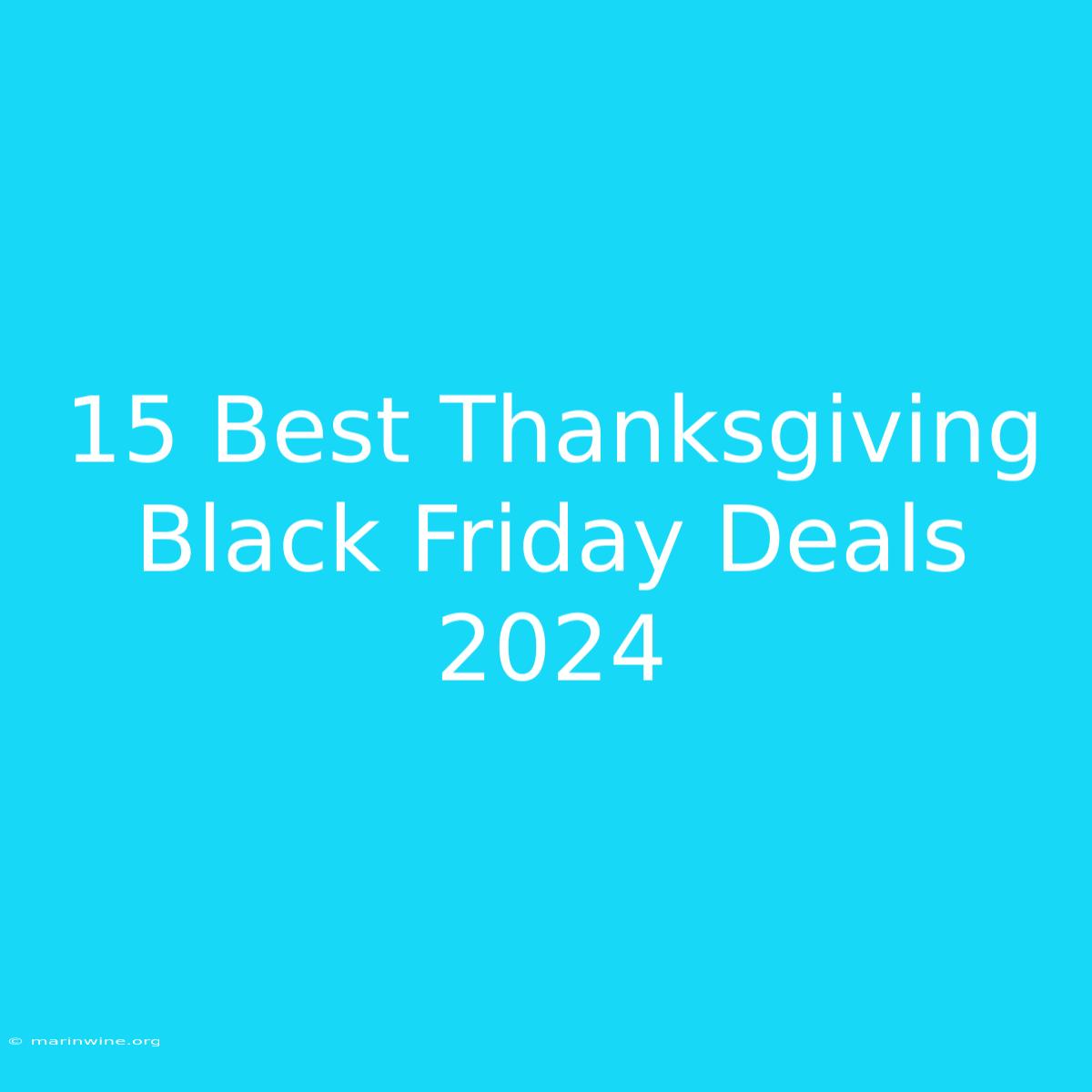 15 Best Thanksgiving Black Friday Deals 2024