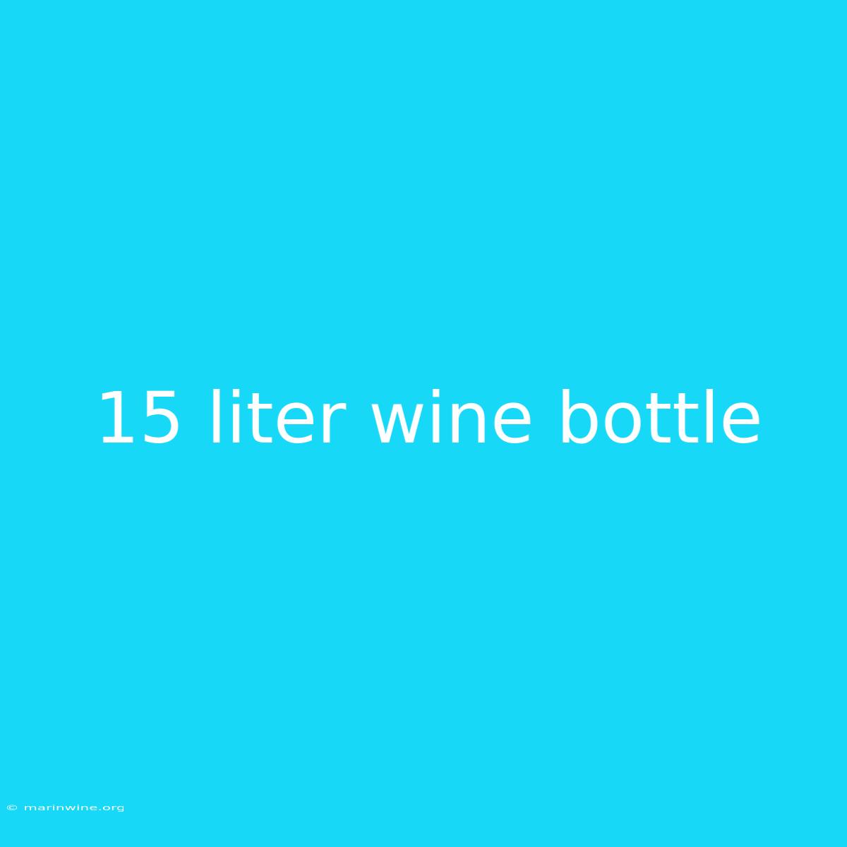 15 Liter Wine Bottle