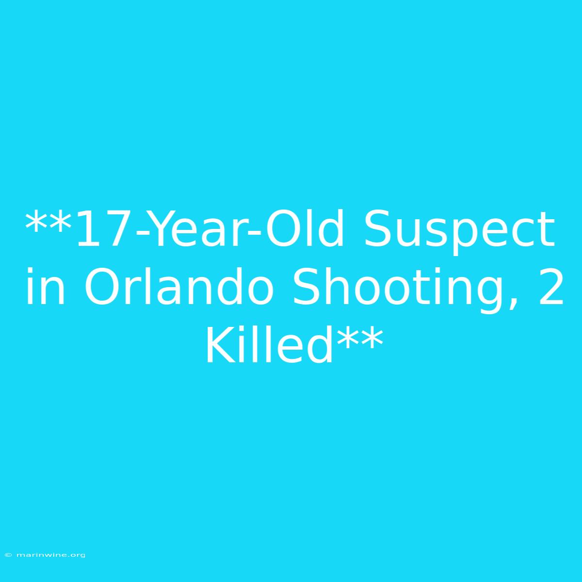 **17-Year-Old Suspect In Orlando Shooting, 2 Killed** 