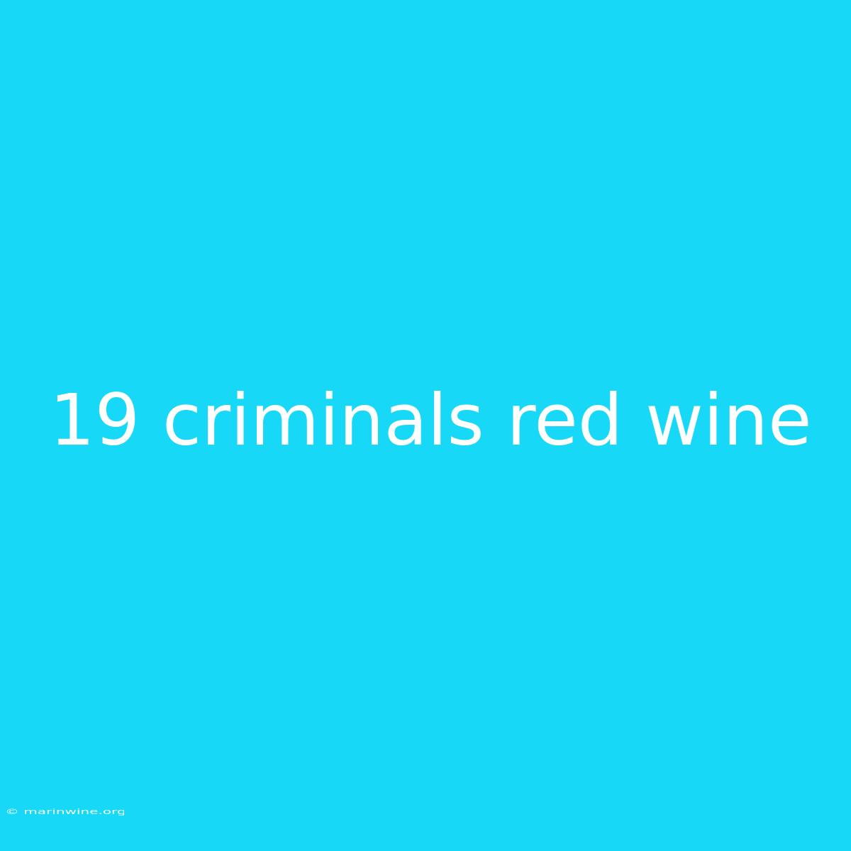 19 Criminals Red Wine