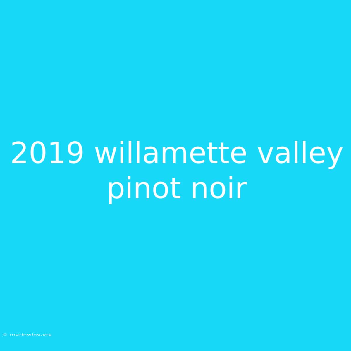 2019 Willamette Valley Pinot Noir