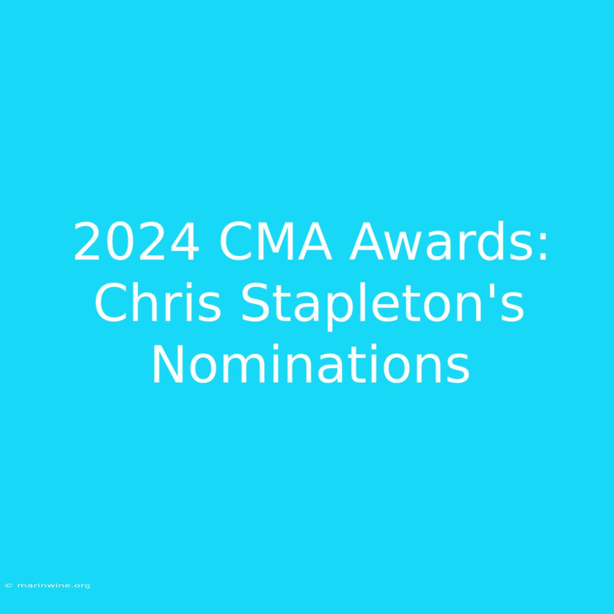 2024 CMA Awards: Chris Stapleton's Nominations