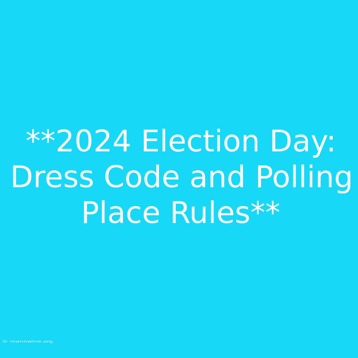 **2024 Election Day: Dress Code And Polling Place Rules**