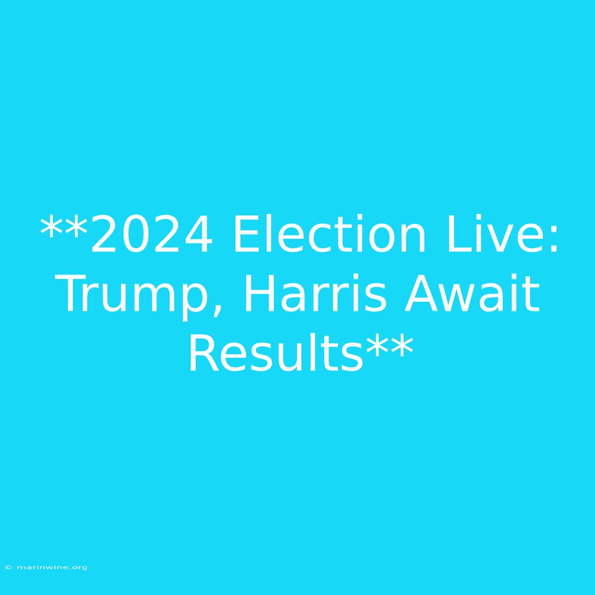 **2024 Election Live: Trump, Harris Await Results**