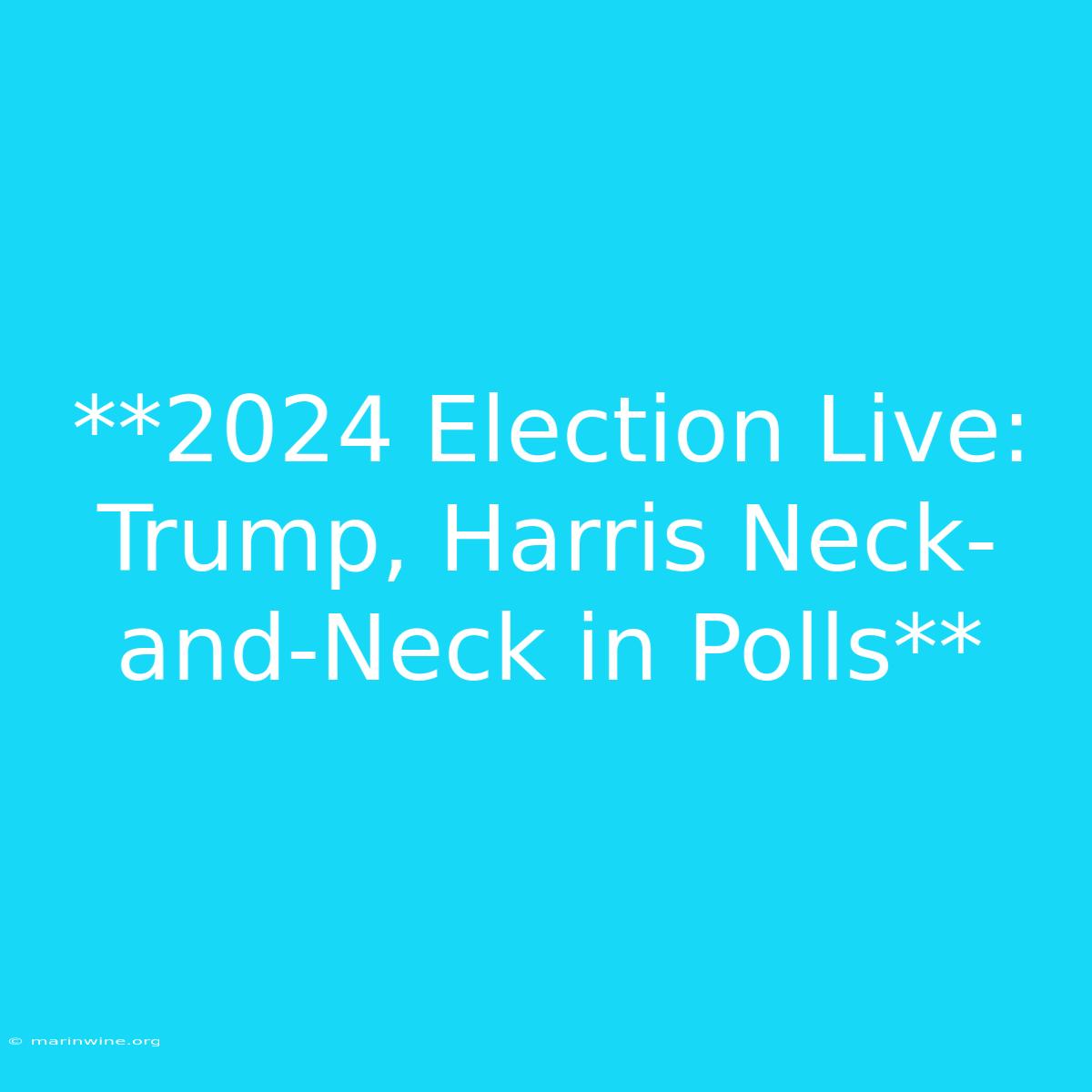 **2024 Election Live: Trump, Harris Neck-and-Neck In Polls**