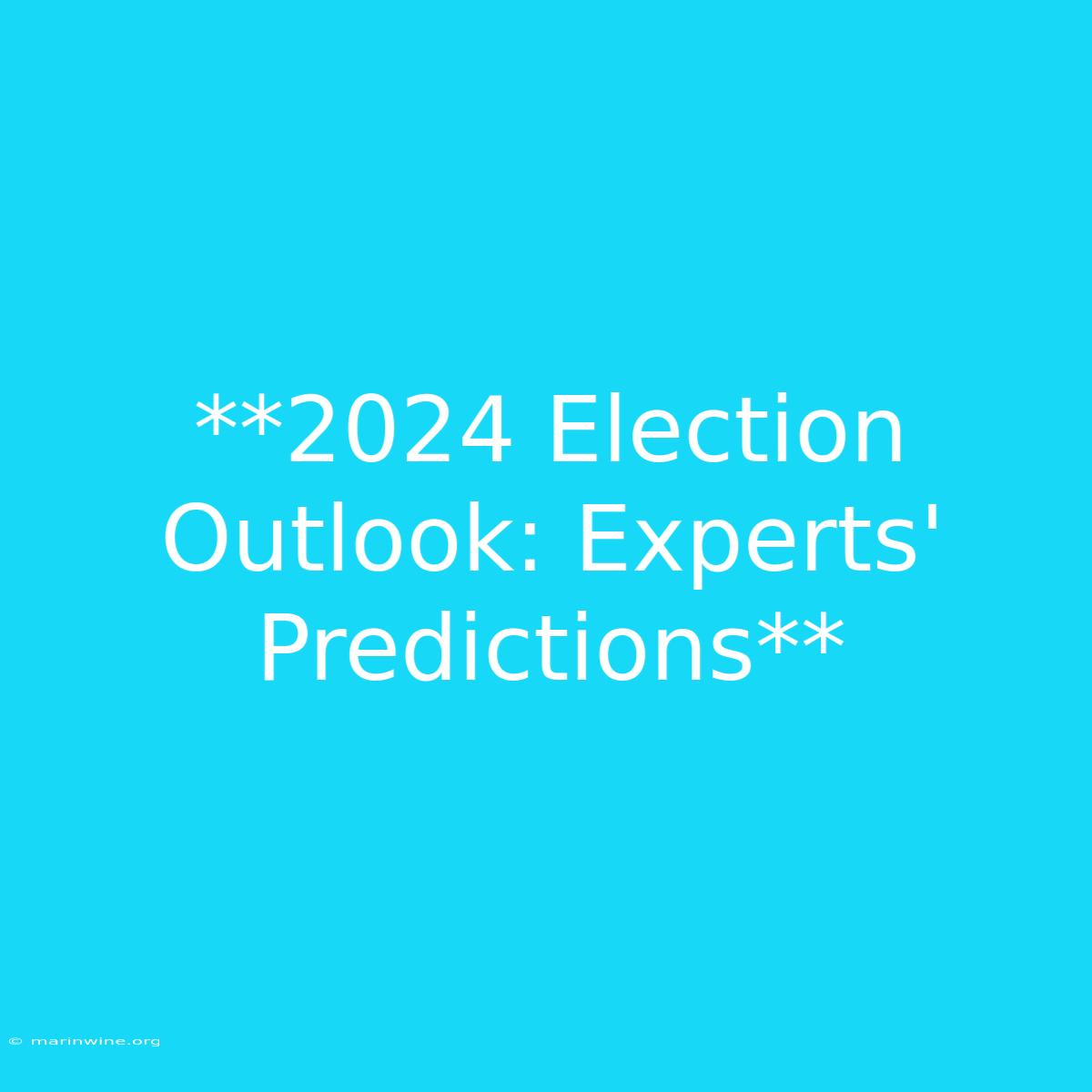 **2024 Election Outlook: Experts' Predictions**