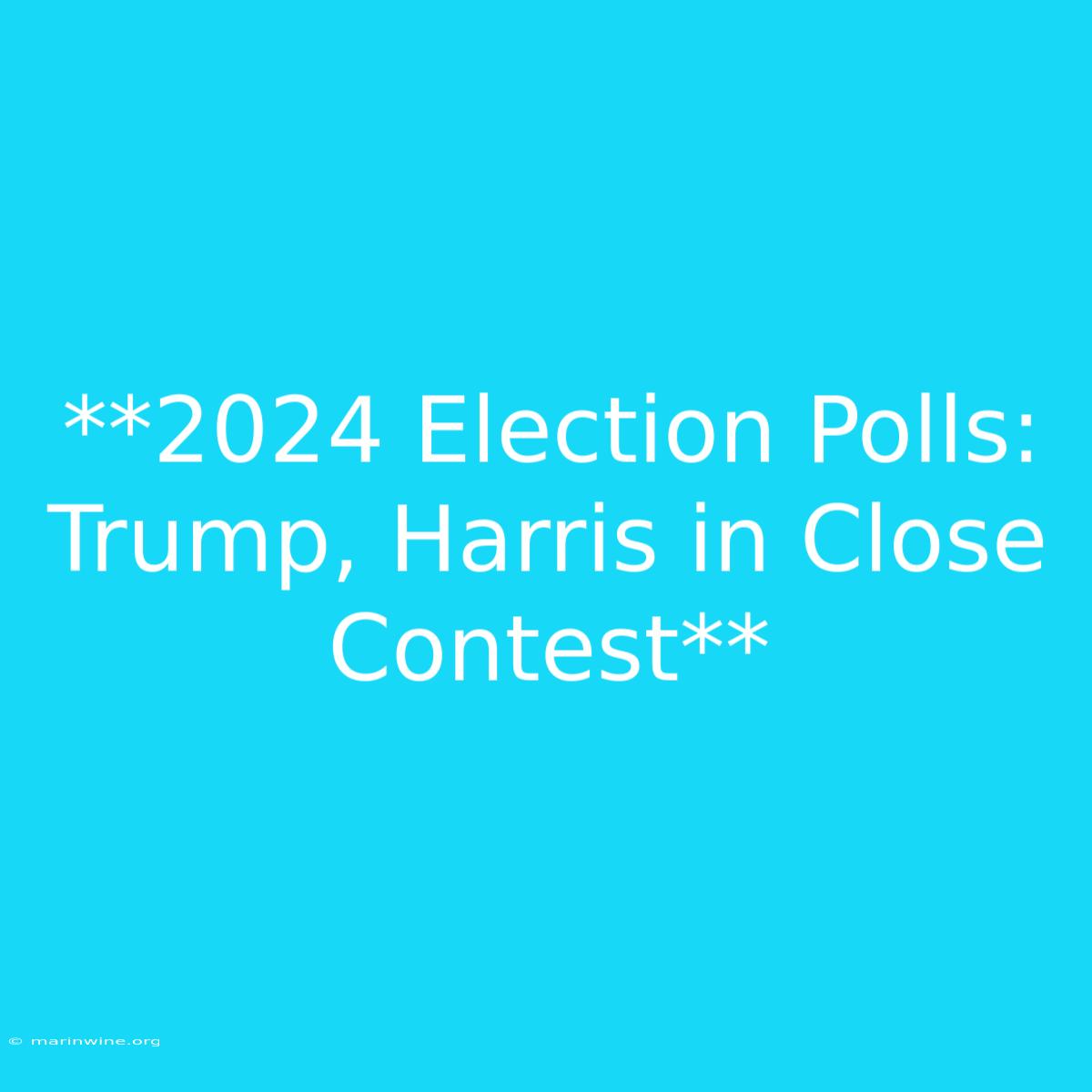 **2024 Election Polls: Trump, Harris In Close Contest** 