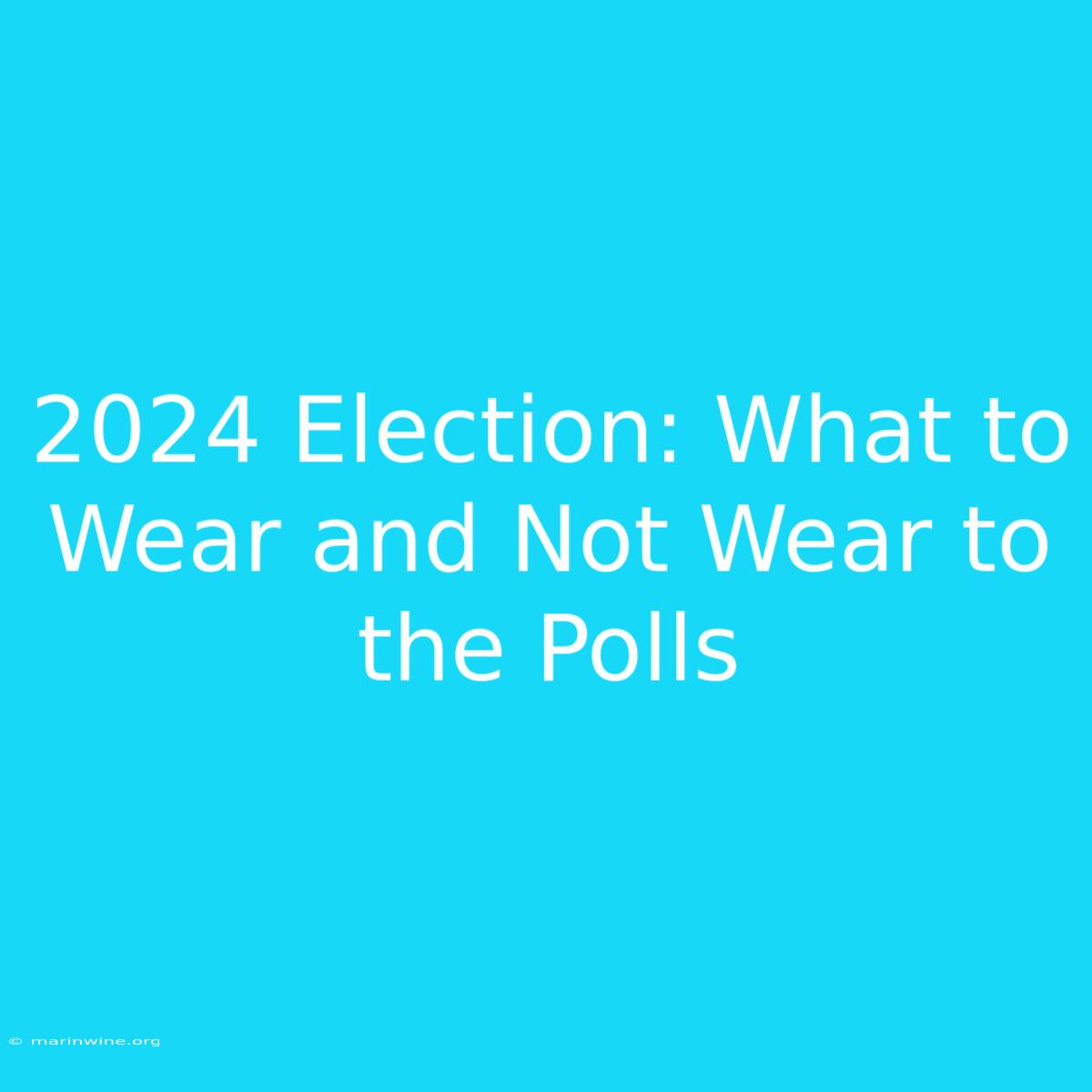 2024 Election: What To Wear And Not Wear To The Polls