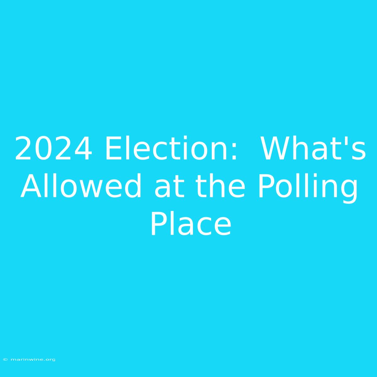 2024 Election:  What's Allowed At The Polling Place 