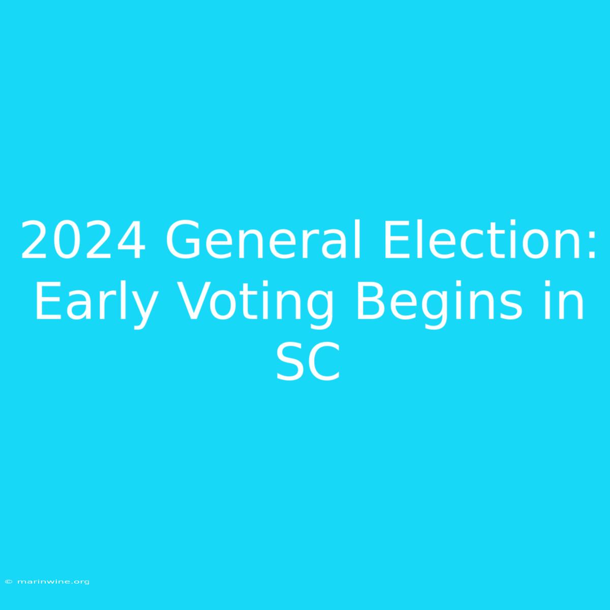 2024 General Election: Early Voting Begins In SC