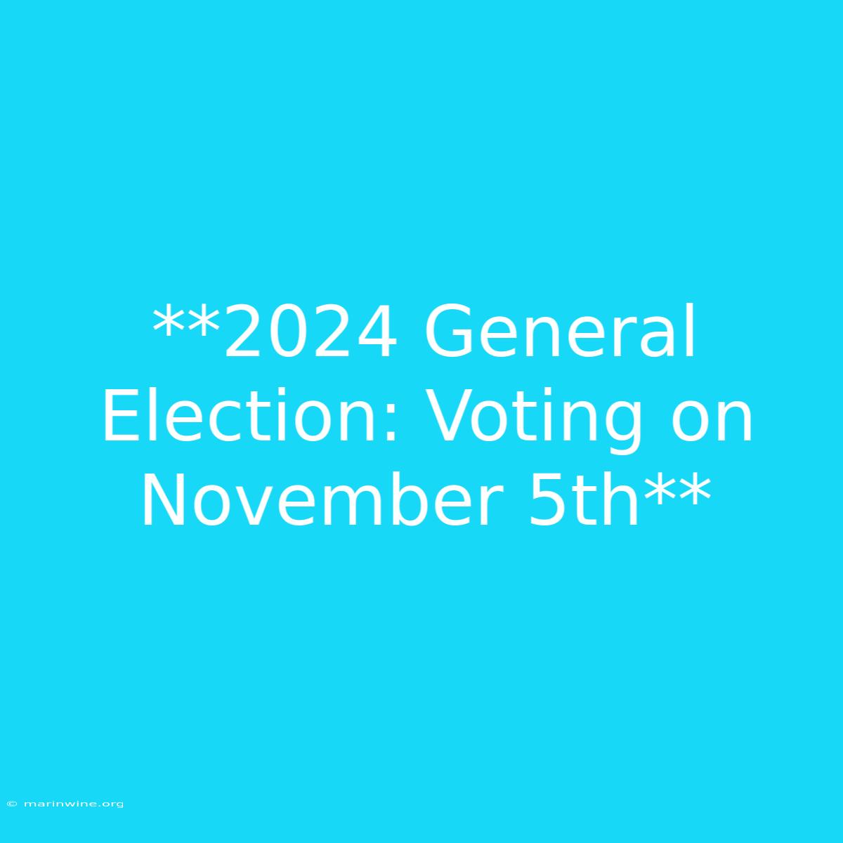 **2024 General Election: Voting On November 5th** 