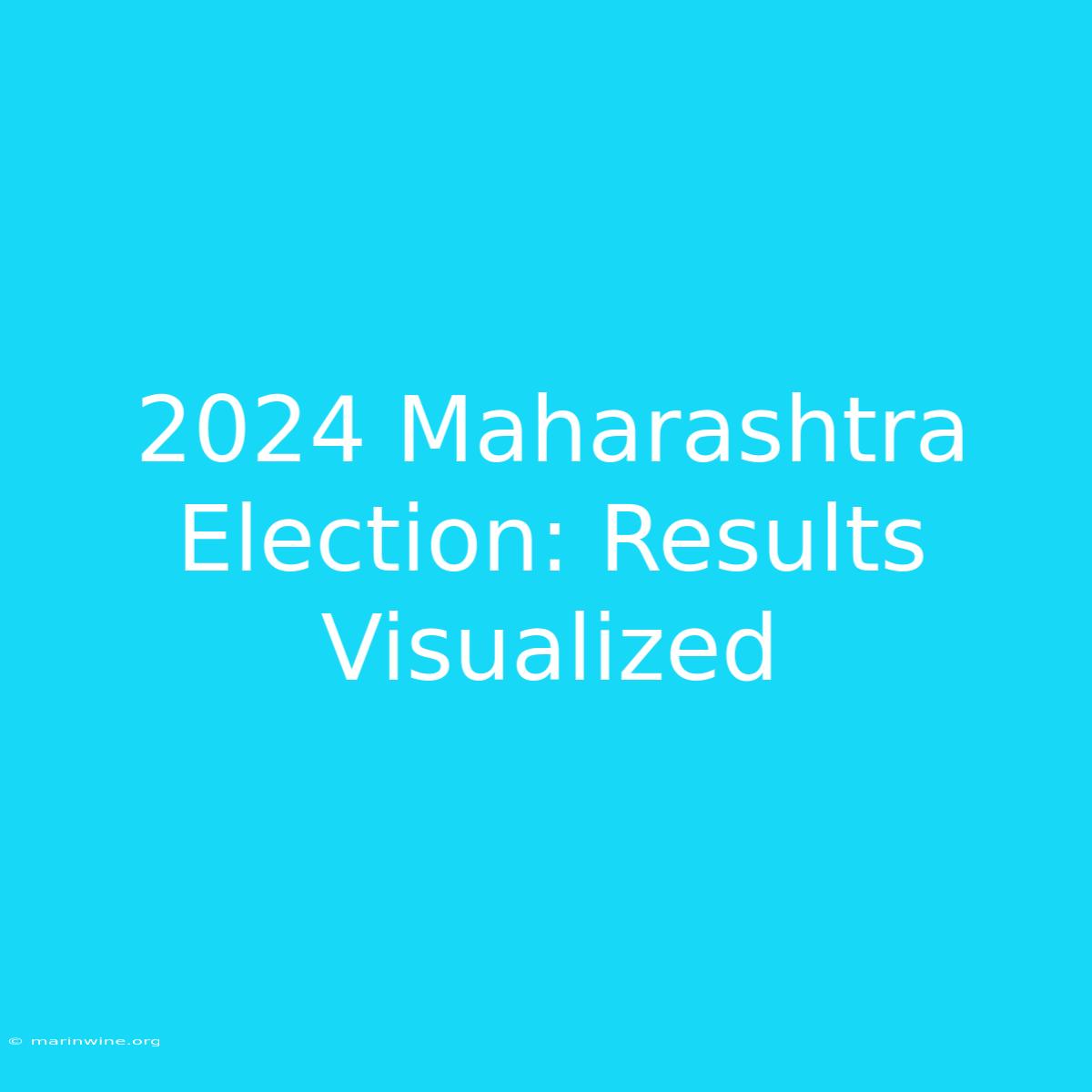 2024 Maharashtra Election: Results Visualized