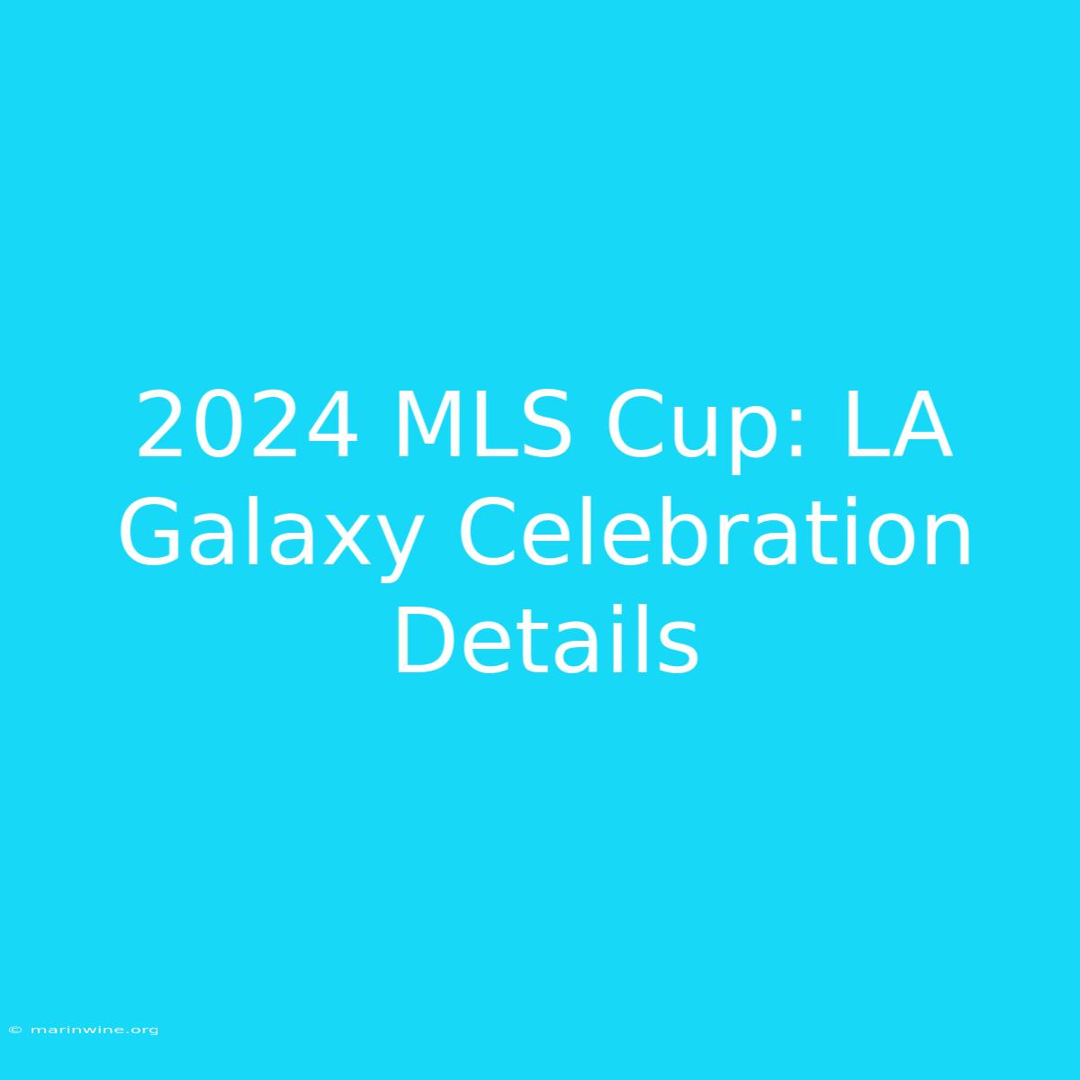 2024 MLS Cup: LA Galaxy Celebration Details