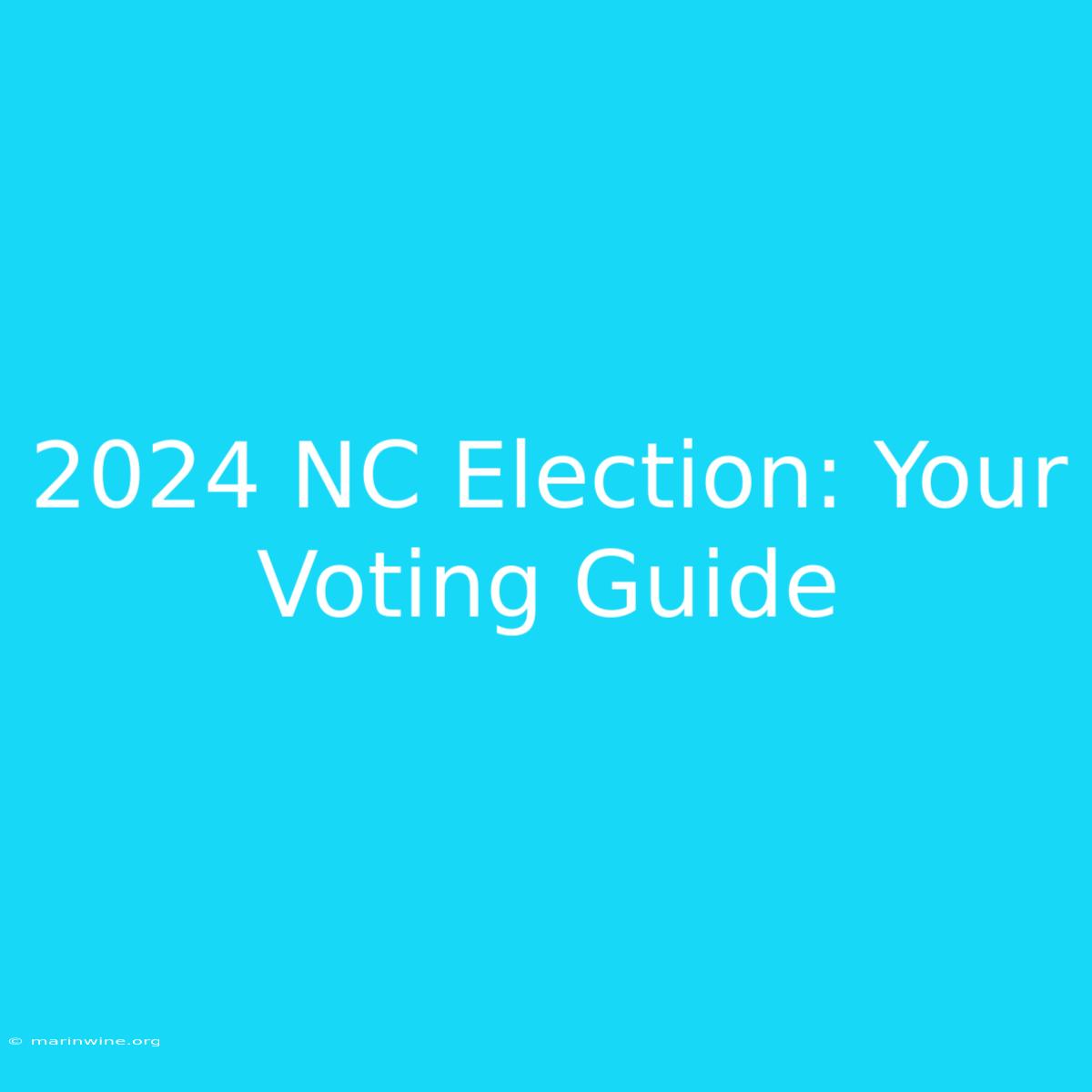 2024 NC Election: Your Voting Guide