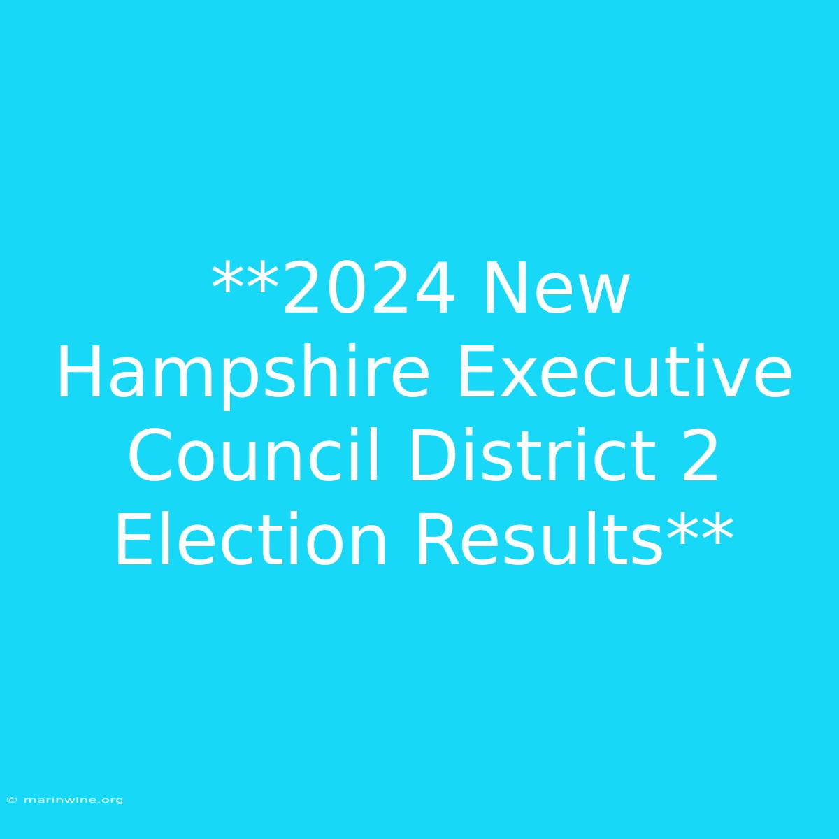 **2024 New Hampshire Executive Council District 2 Election Results**