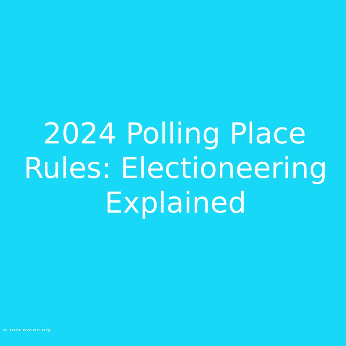 2024 Polling Place Rules: Electioneering Explained 