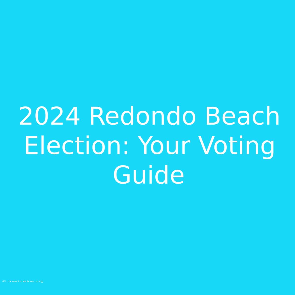 2024 Redondo Beach Election: Your Voting Guide 