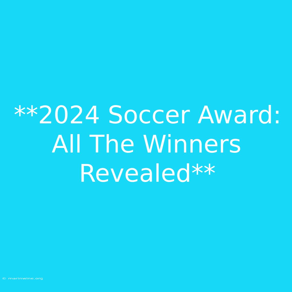 **2024 Soccer Award: All The Winners Revealed** 