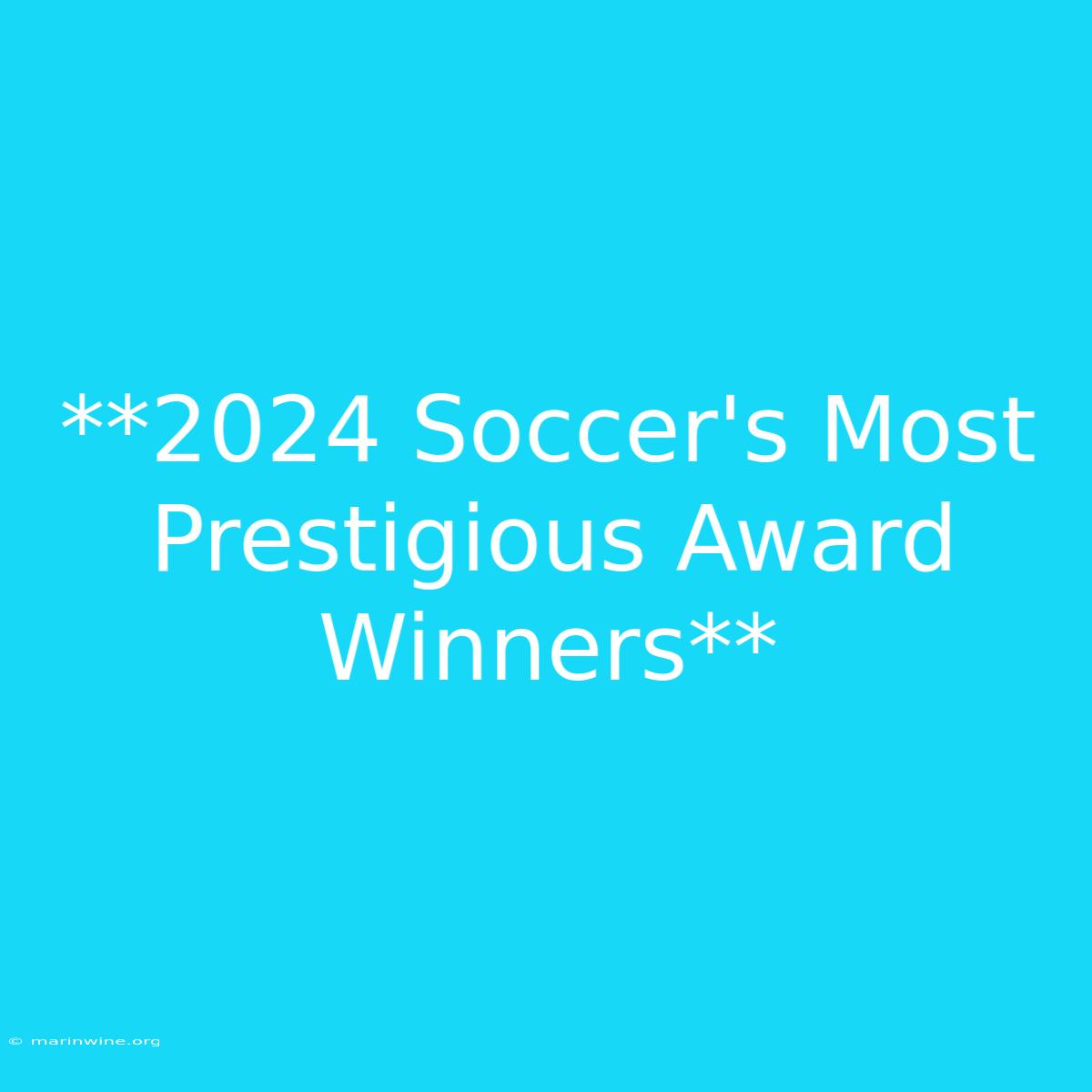 **2024 Soccer's Most Prestigious Award Winners**