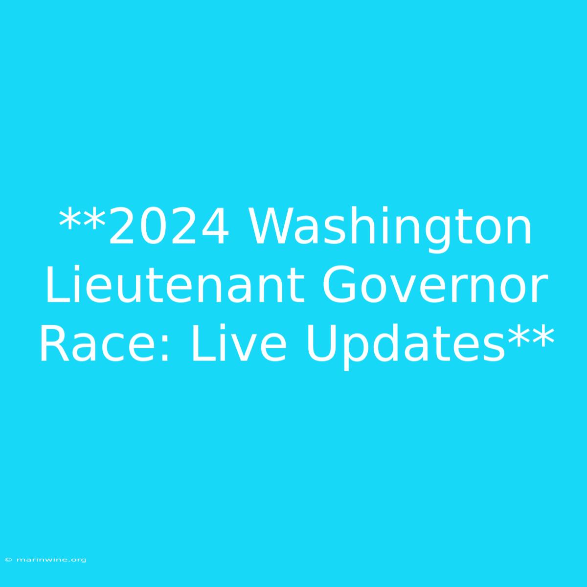 **2024 Washington Lieutenant Governor Race: Live Updates**