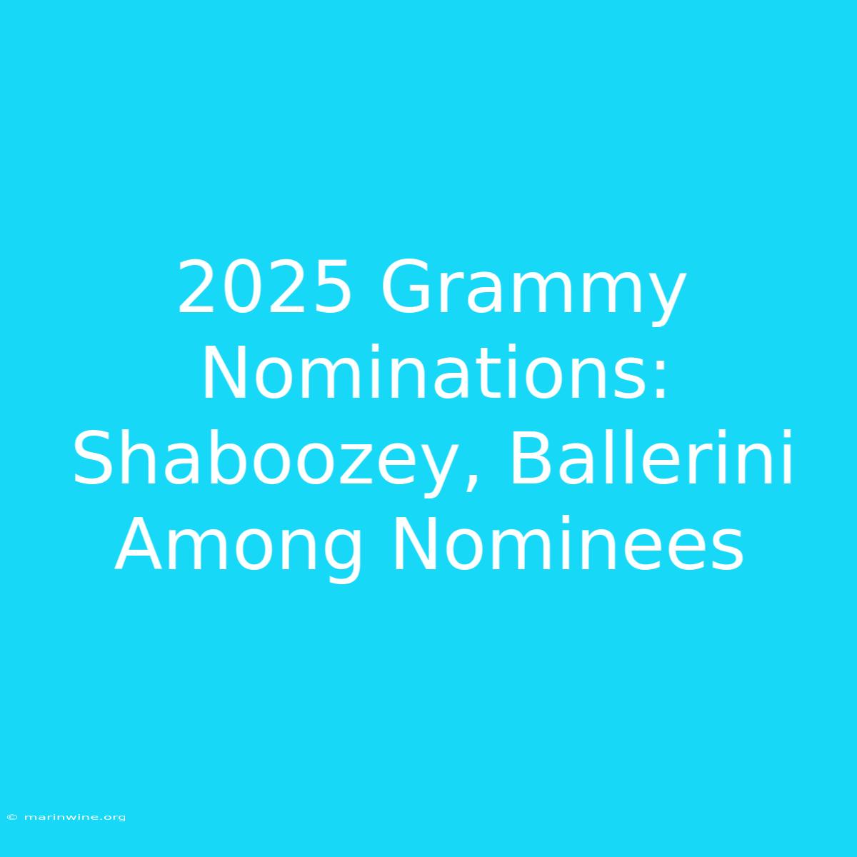 2025 Grammy Nominations: Shaboozey, Ballerini Among Nominees