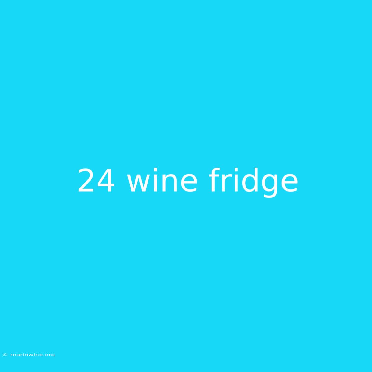 24 Wine Fridge