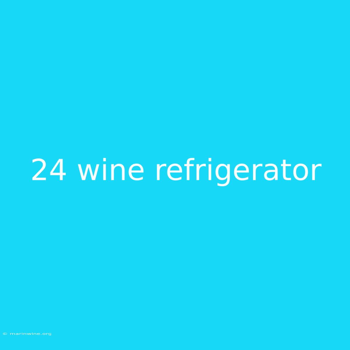 24 Wine Refrigerator