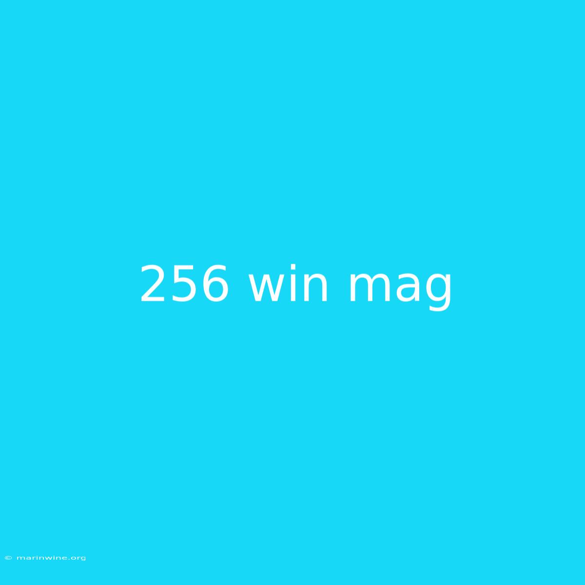 256 Win Mag