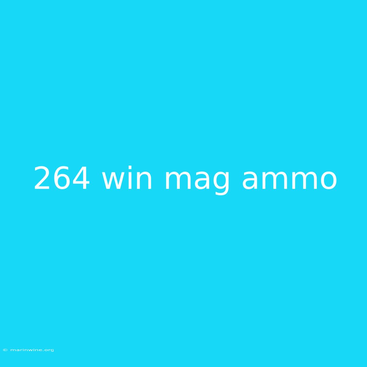 264 Win Mag Ammo