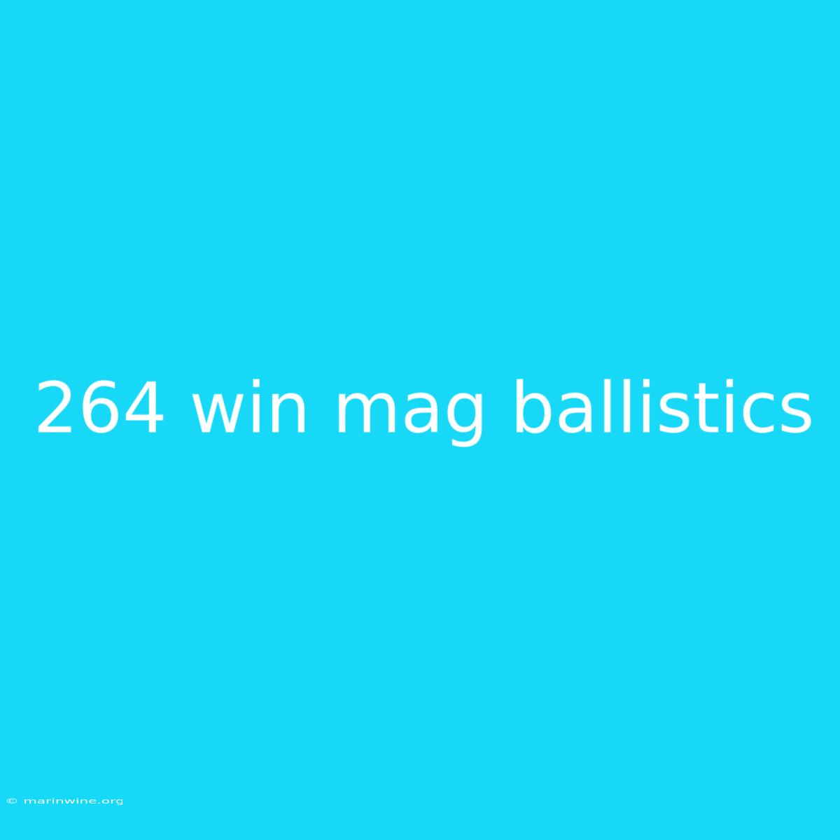 264 Win Mag Ballistics