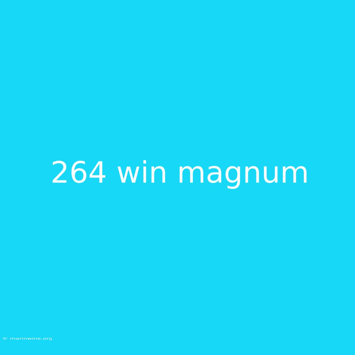 264 Win Magnum