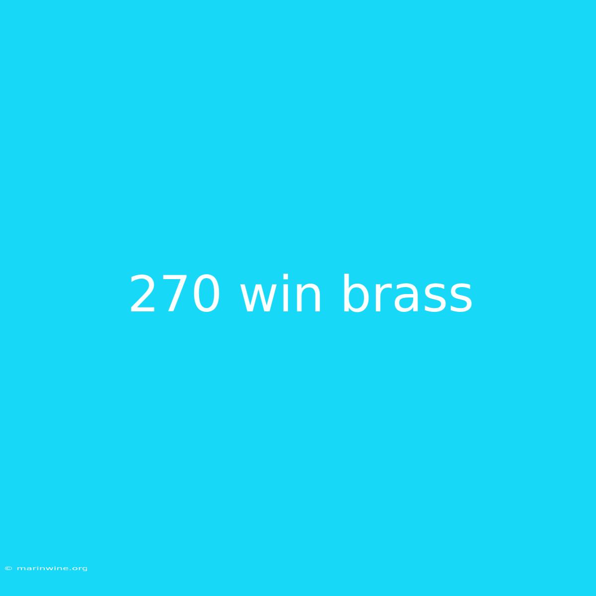 270 Win Brass