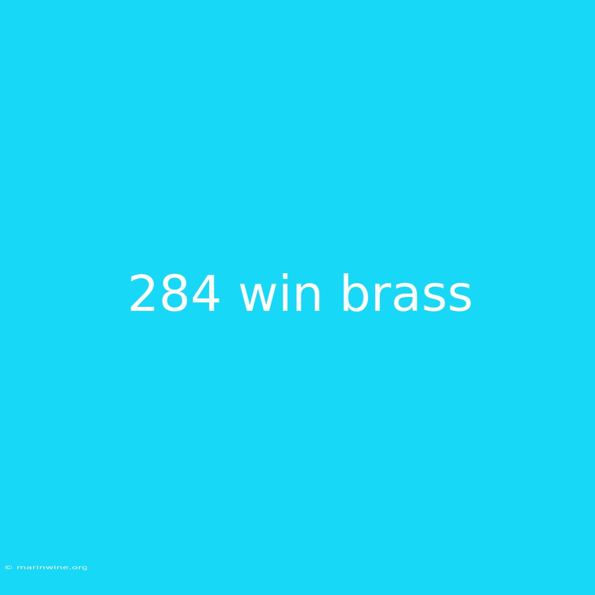 284 Win Brass