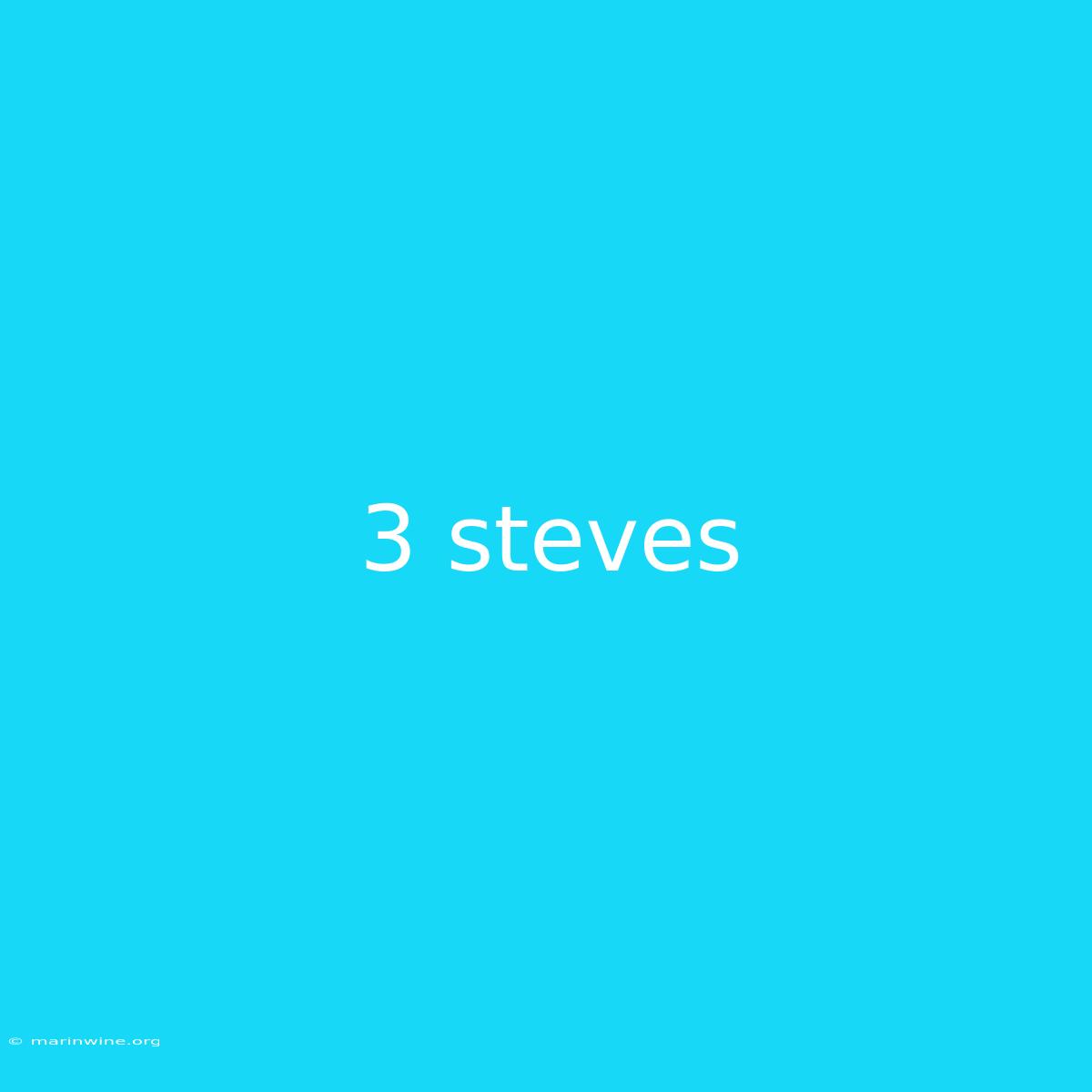 3 Steves