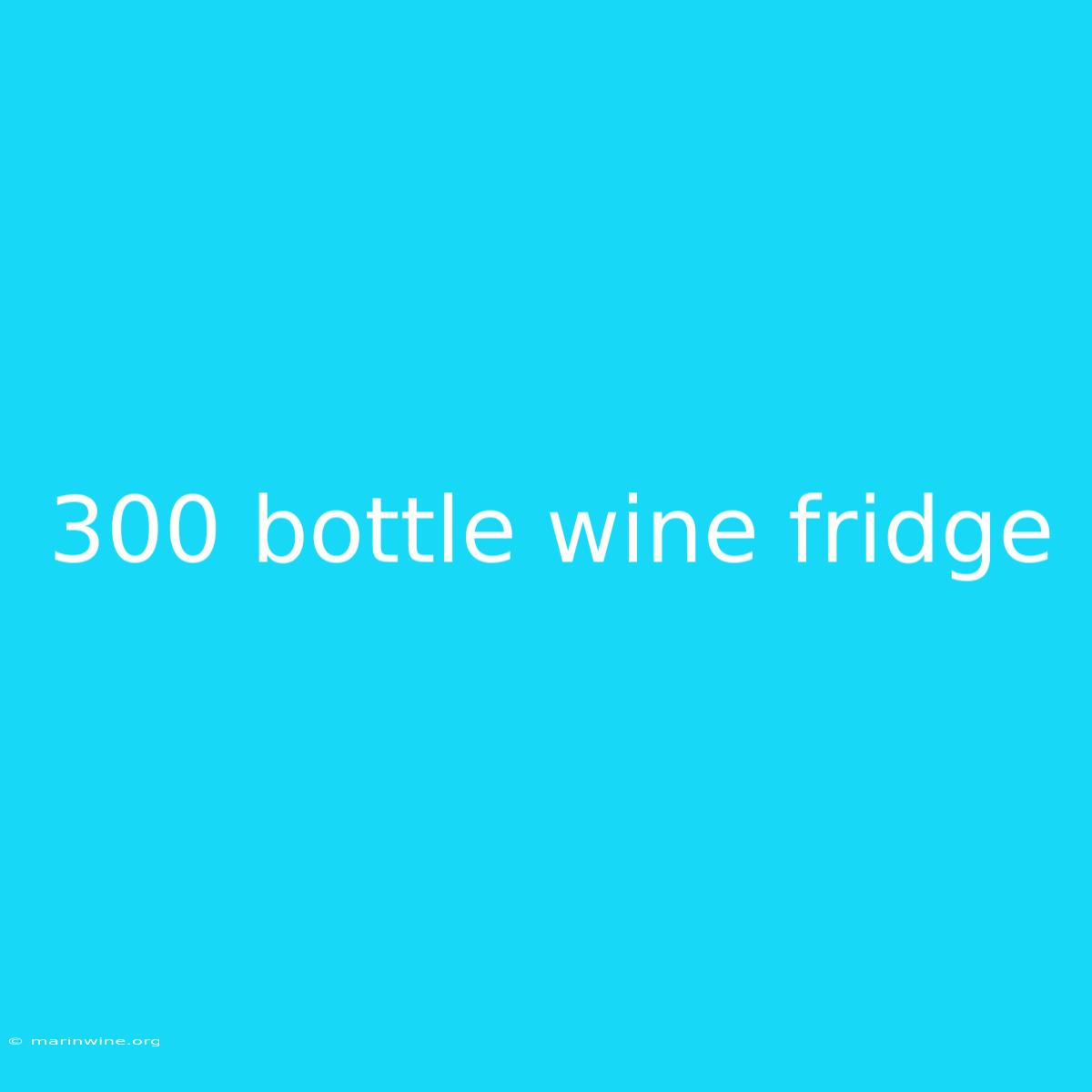 300 Bottle Wine Fridge