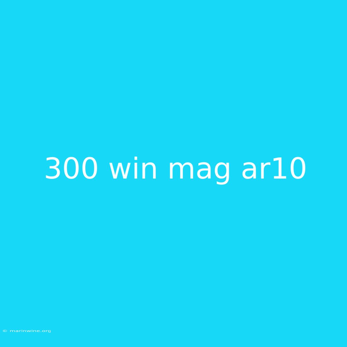 300 Win Mag Ar10