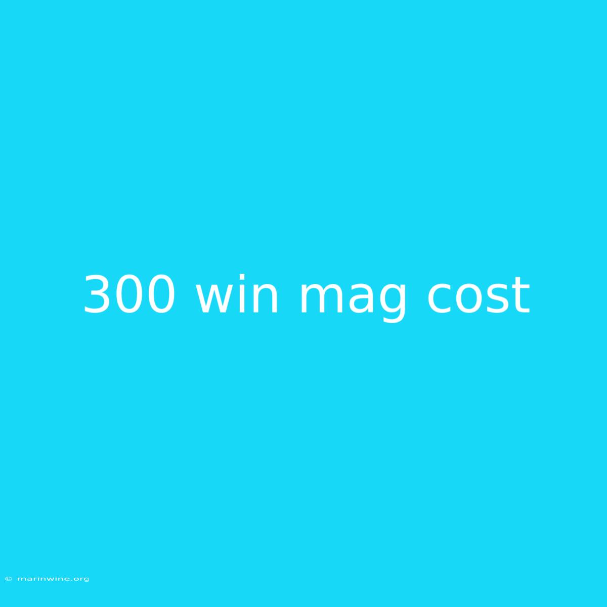 300 Win Mag Cost