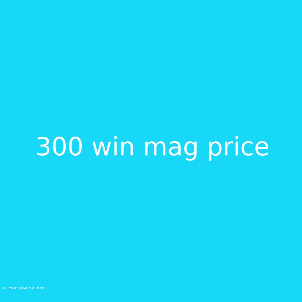 300 Win Mag Price