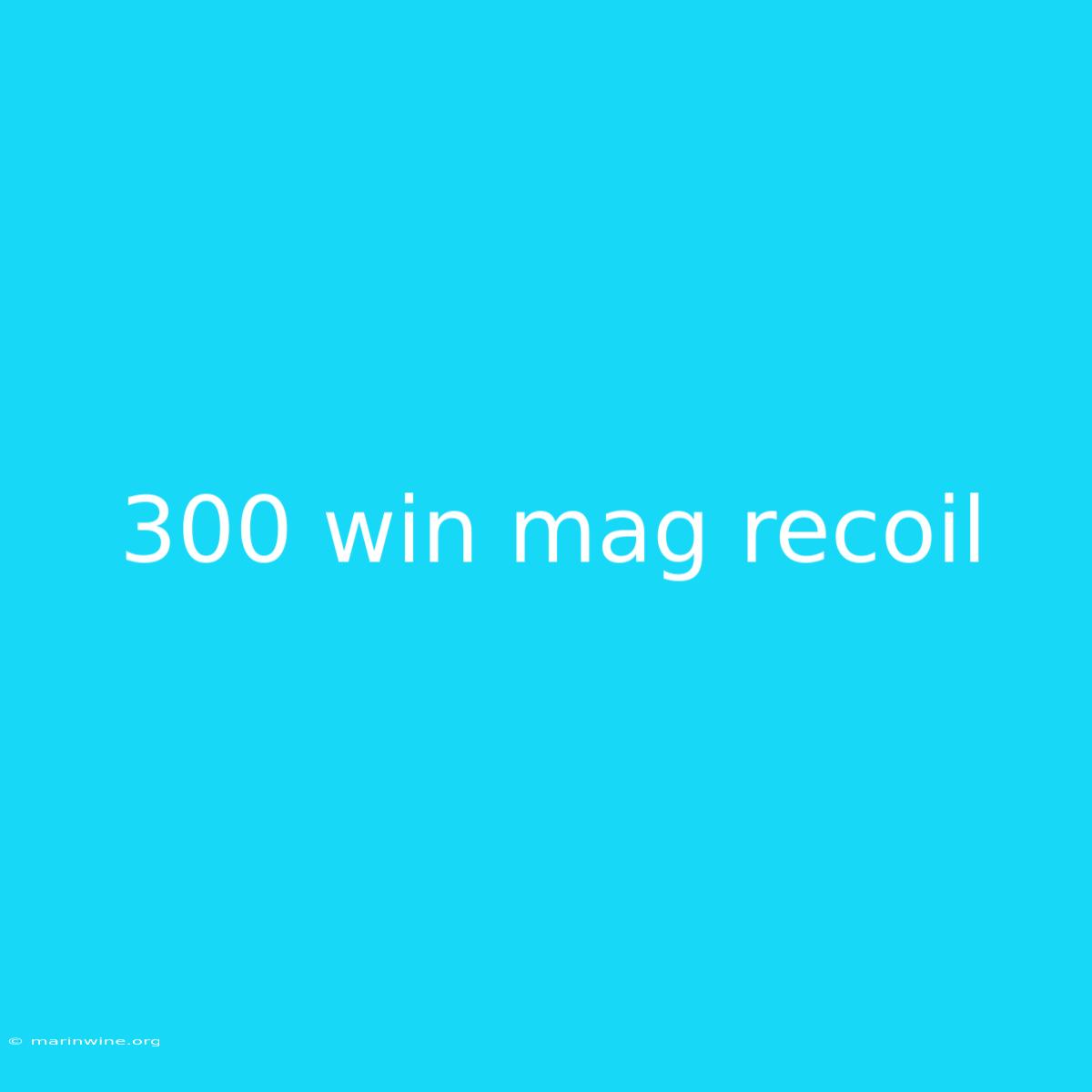 300 Win Mag Recoil