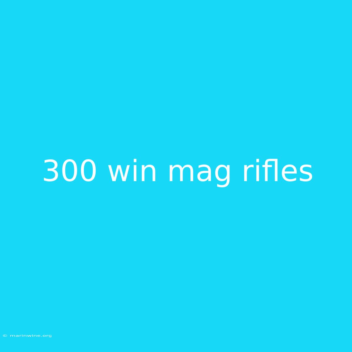 300 Win Mag Rifles