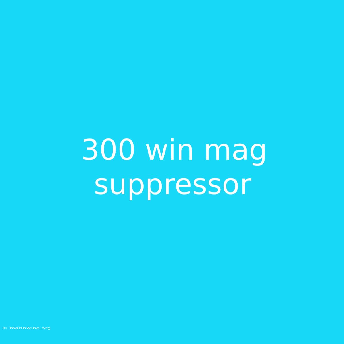 300 Win Mag Suppressor