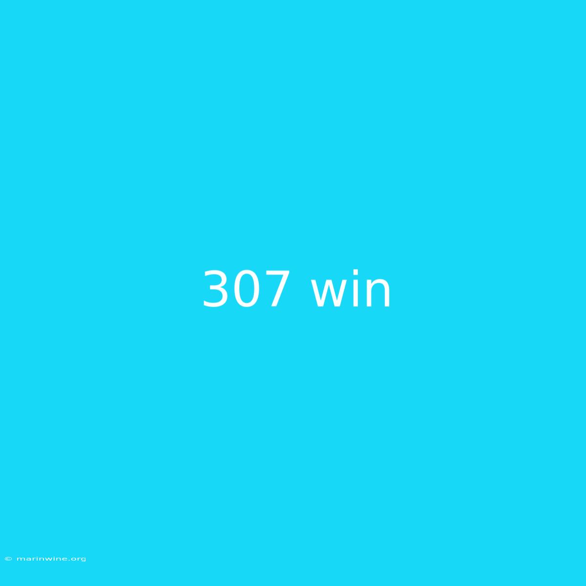 307 Win