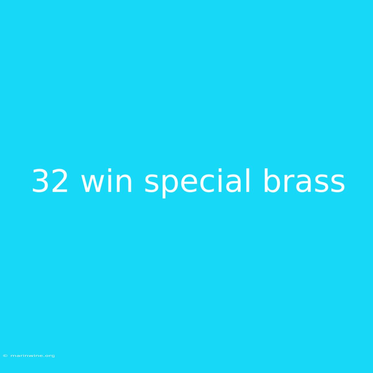 32 Win Special Brass