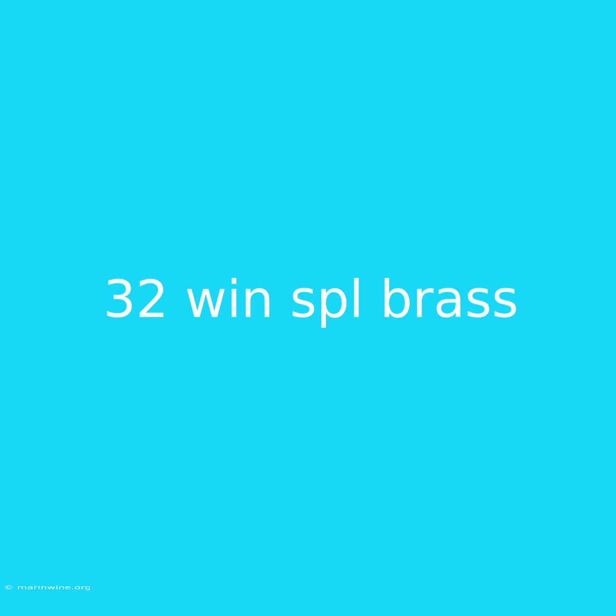 32 Win Spl Brass