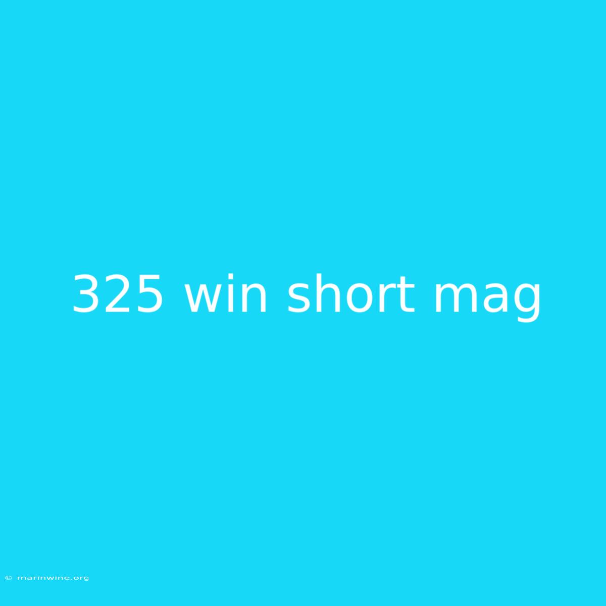 325 Win Short Mag