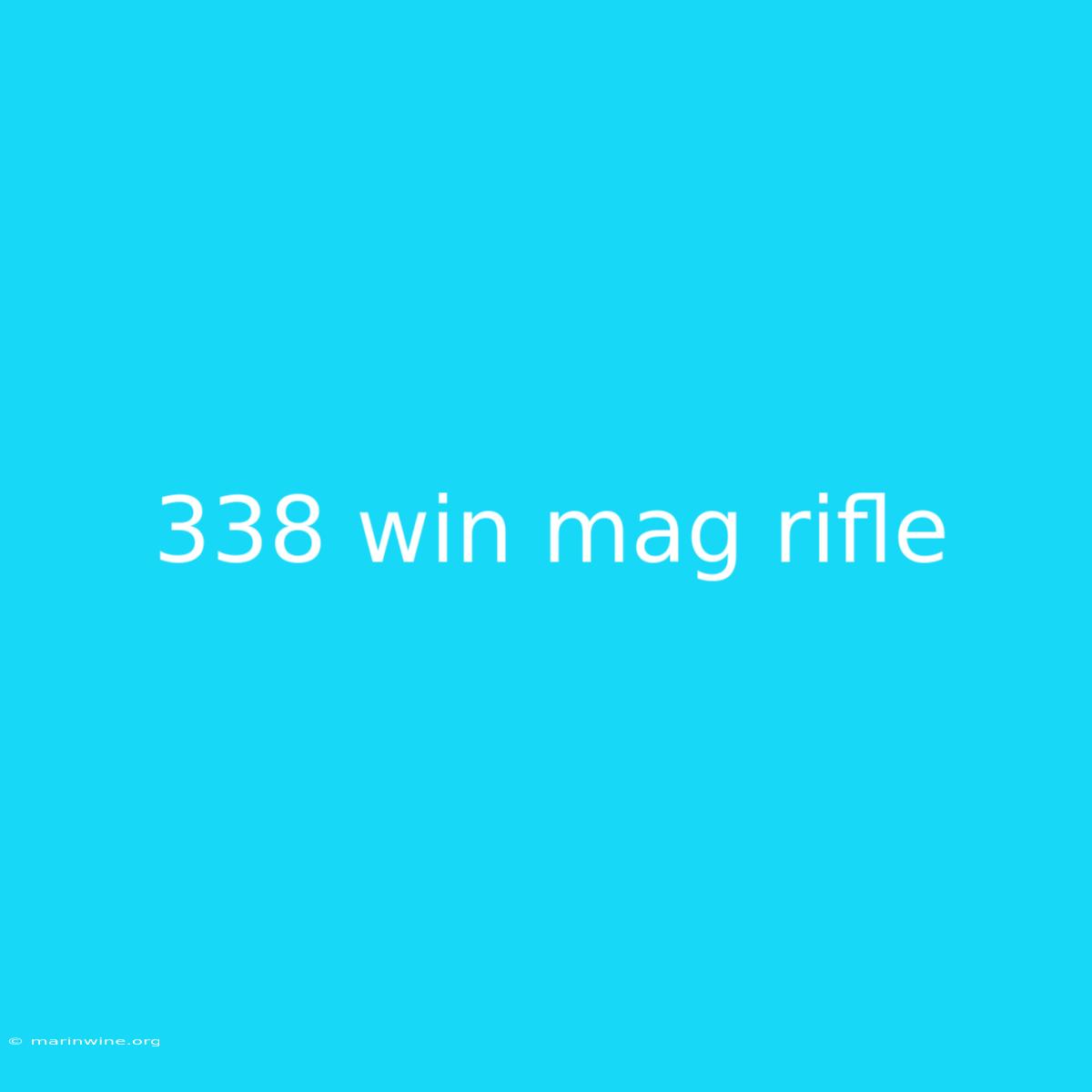 338 Win Mag Rifle