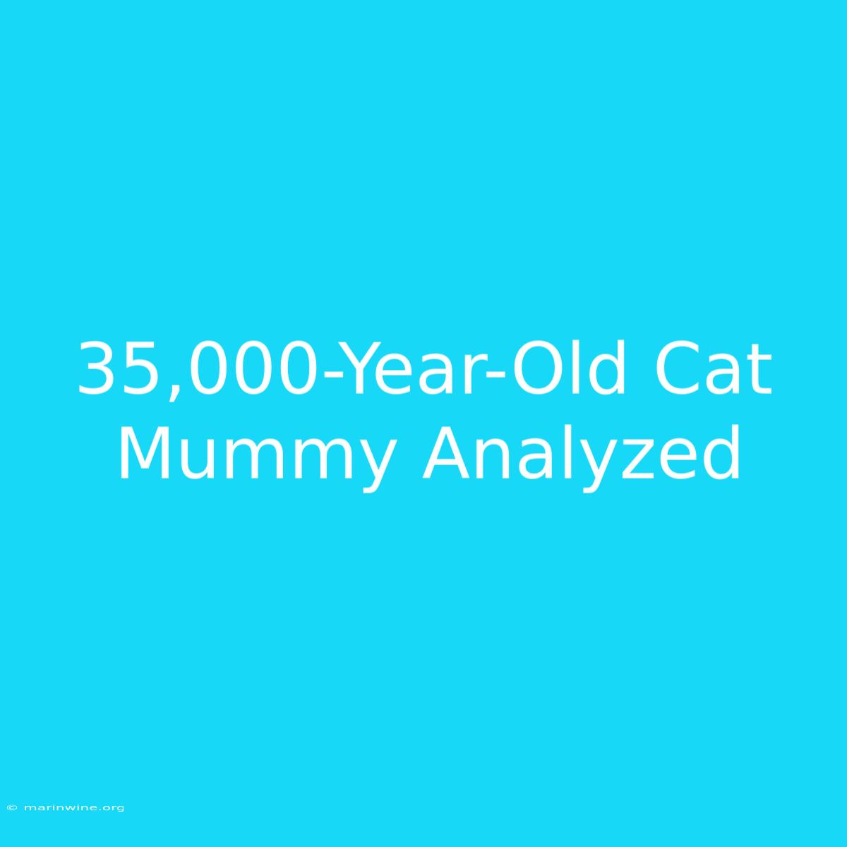 35,000-Year-Old Cat Mummy Analyzed